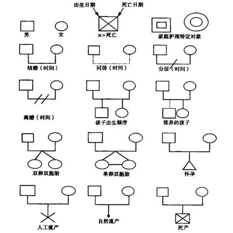 家庭樹意義|家系圖符號 